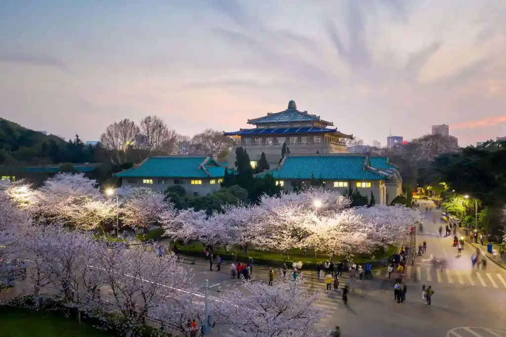 wuhan-cherry-blossom-1024x683