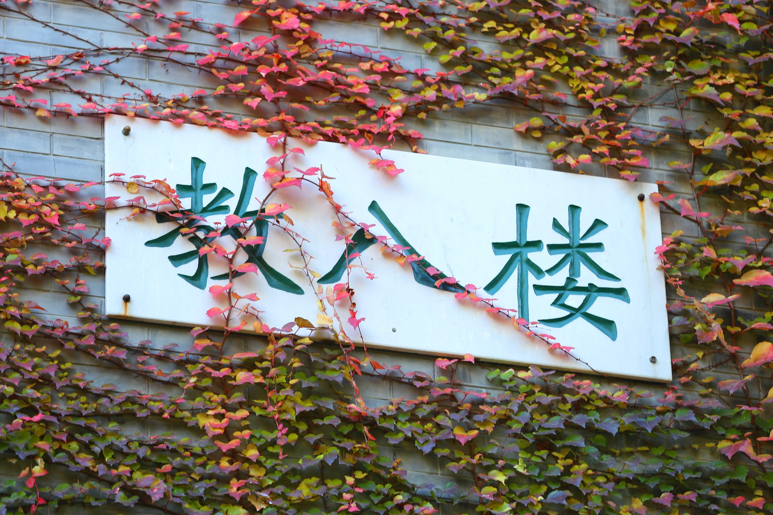 20191120091507492811