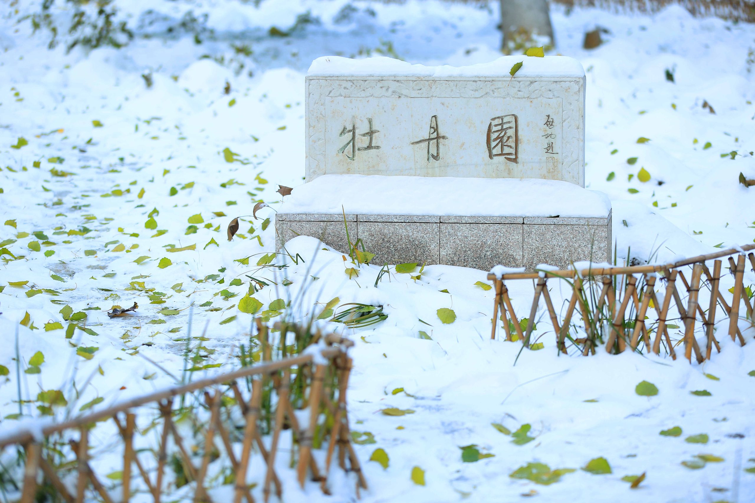 20191120091546073284